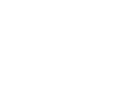 Pinnakle BMW Mechanics